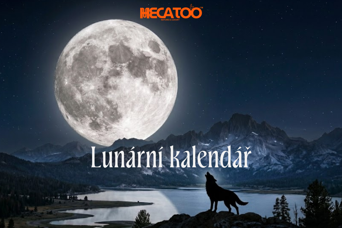 Lunární kalendář 2026 – vlk vyjící na úplněk nad horskou krajinou, průvodce úplňky a rituály s minerály Hecatoo