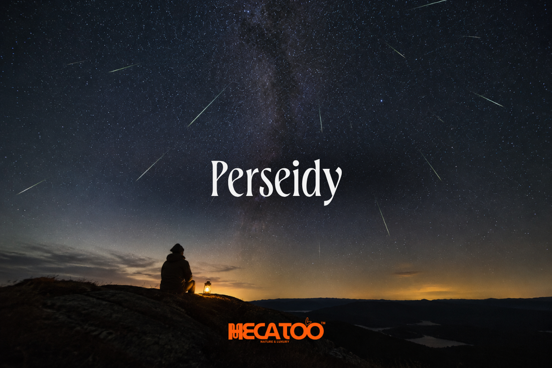 Ilustrační obrázek Perseid s pozorovatelem na kopci pod hvězdnou oblohou a meteorickým rojem.